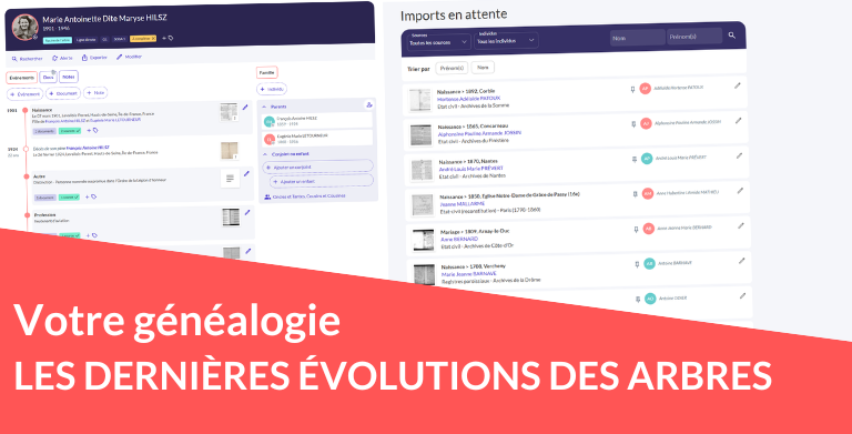 Les dernières évolutions des arbres généalogiques