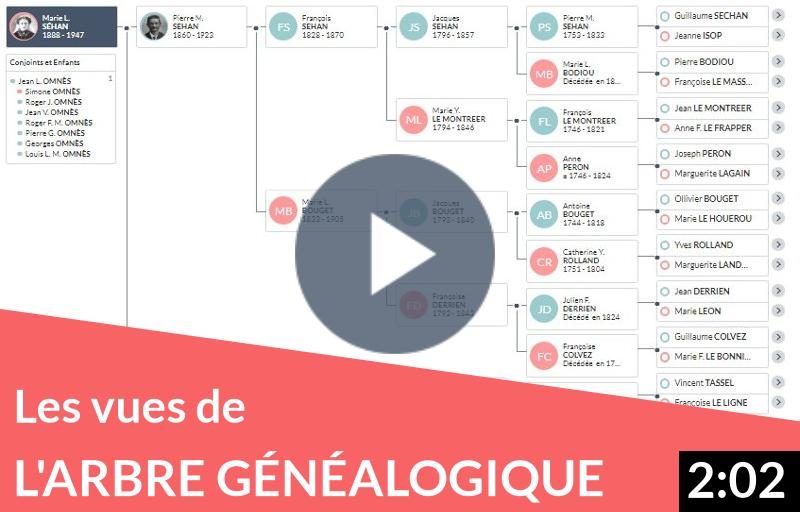 Les différentes vues de votre arbre généalogique