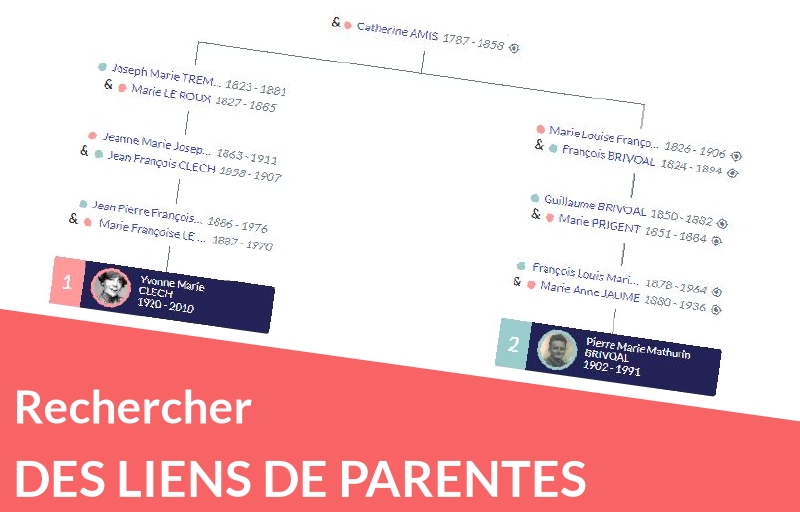 La recherche de liens de parenté dans votre généalogie