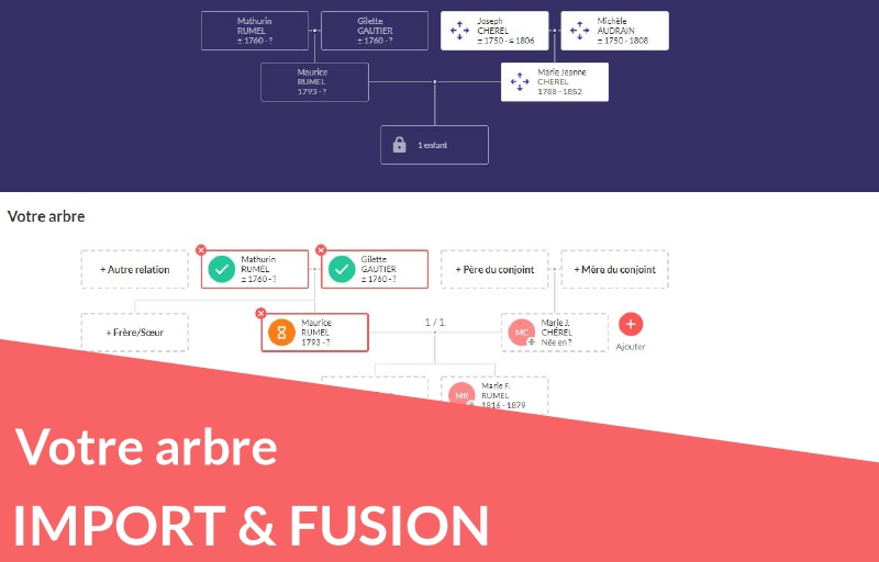 Nouveau  : Importez & fusionnez une famille d’un arbre à un autre