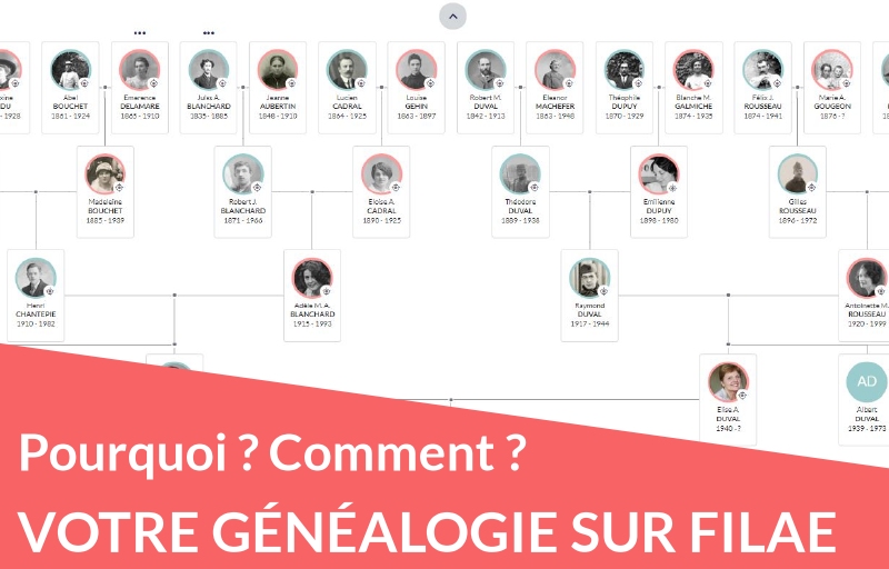 Pourquoi et comment mettre votre généalogie sur Filae !