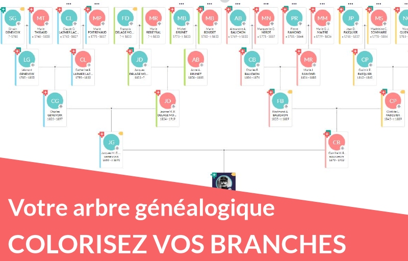 Arbre généalogique : du nouveau pour mieux repérer vos branches